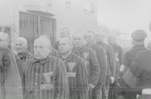 prisoners.jpg